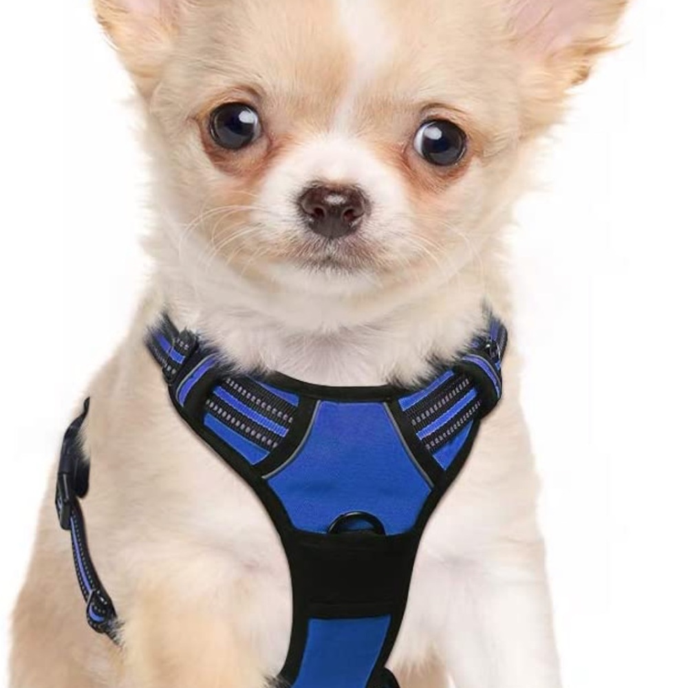 Rabbitgoo dog harness size Small